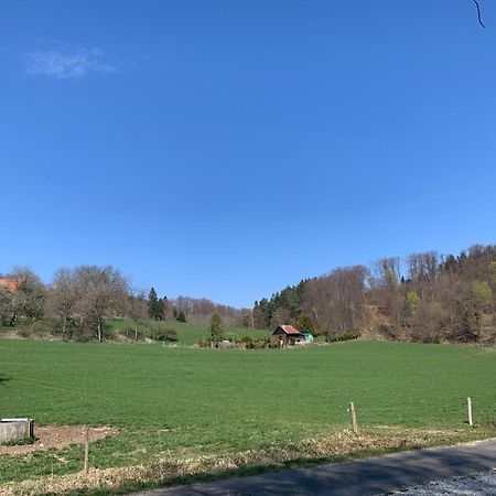Hotel Restaurant Schwane Messstetten Exteriör bild
